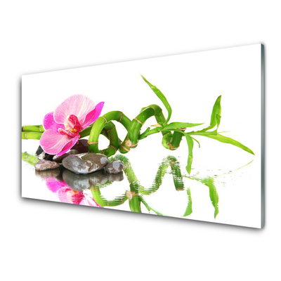 Obraz na skle Bambus Květ Kameny Umění