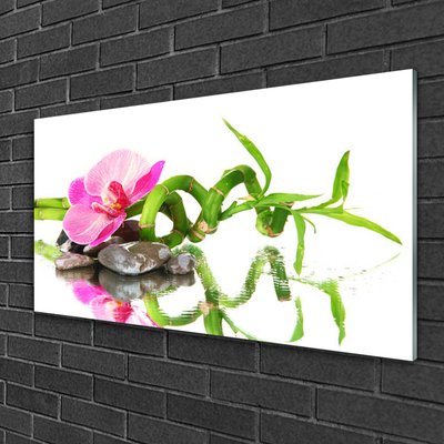 Obraz na skle Bambus Květ Kameny Umění