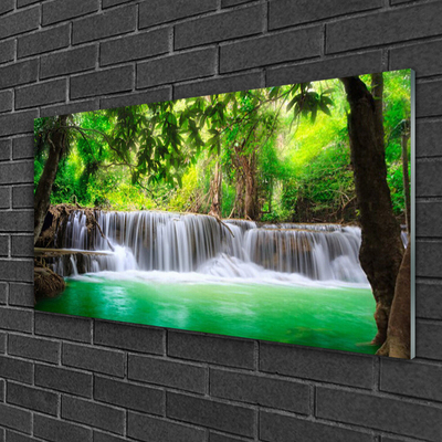 Obraz na skle Vodopád Jezero Les Příroda