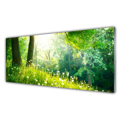Obraz na skle Louka Příroda Rostlina