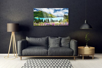 Obraz na skle Hora Les Jezero Krajina