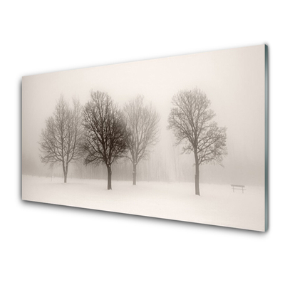 Obraz na skle Sníh Stromy Krajina