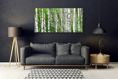 Obraz na skle Les Rostlina Příroda