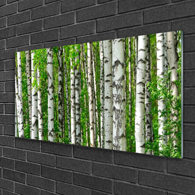 Obraz na skle Les Rostlina Příroda