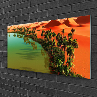 Obraz na skle Jezero Poušť Palmy
