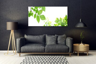 Obraz na skle Plátky Rostlina Příroda