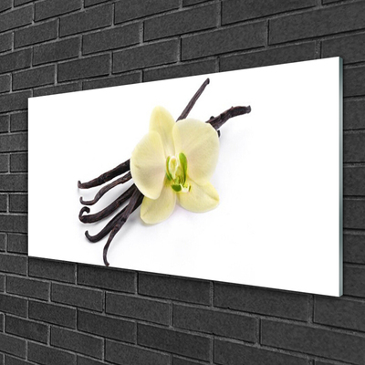 Obraz na skle Květ Rostlina Příroda