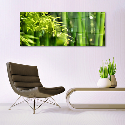 Obraz na skle Bambus Listy Rostlina