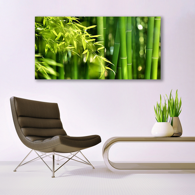 Obraz na skle Bambus Listy Rostlina