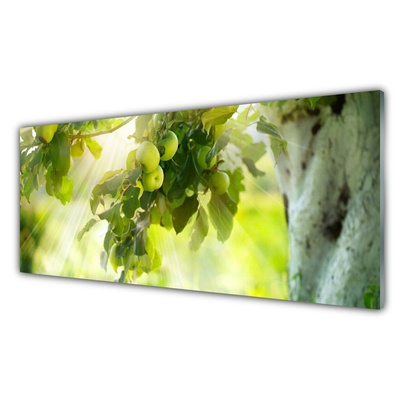Obraz na skle Jablka Větev Strom Příroda