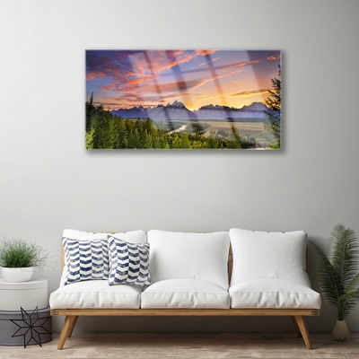 Obraz na skle Hora Les Slunce Příroda