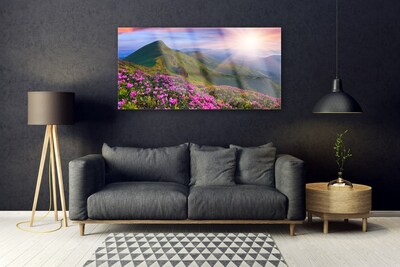 Obraz na skle Hory Louka Květiny Krajina