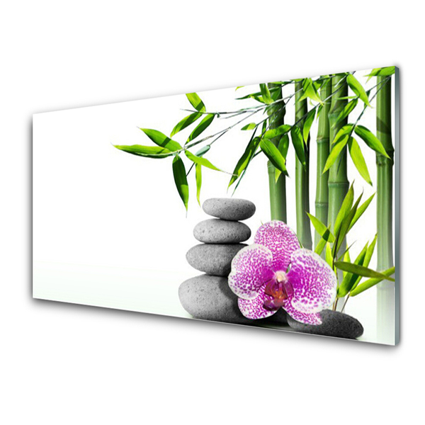 Obraz na skle Bambus Kameny Zen Umění