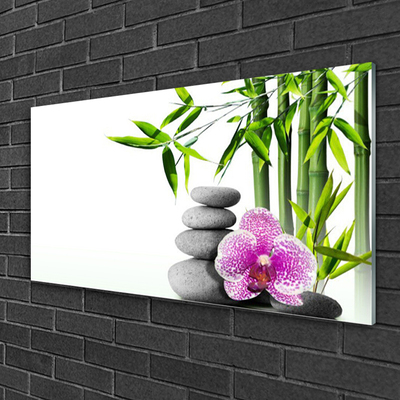 Obraz na skle Bambus Kameny Zen Umění