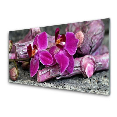 Obraz na skle Dříví Květiny Rostlina Příroda