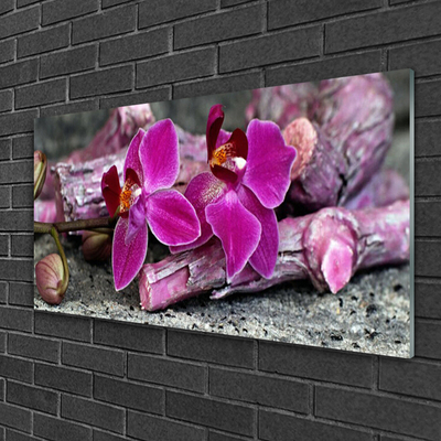 Obraz na skle Dříví Květiny Rostlina Příroda