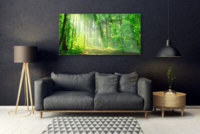 Obraz na skle Les Cestička Stromy Příroda