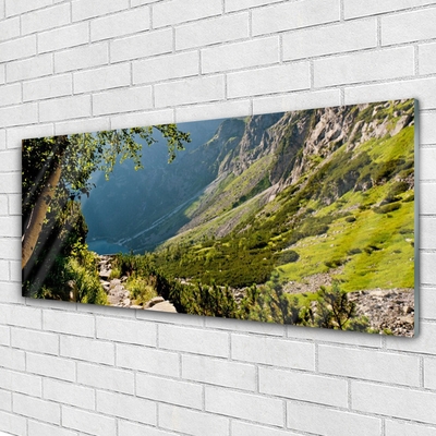 Obraz na skle Hora Les Příroda