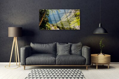 Obraz na skle Hora Les Příroda