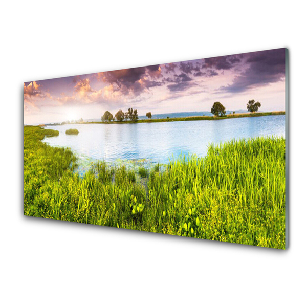 Obraz na skle Tráva Jezero Příroda
