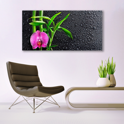 Obraz na skle Bambus Květ Kapky