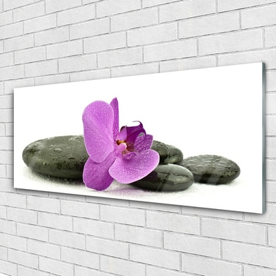 Obraz na skle Květ Kameny Umění