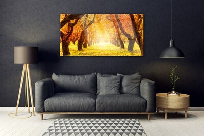 Obraz na skle Les Stezka Stromy Příroda