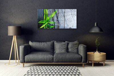 Obraz na skle Bambus List Rostlina Příroda