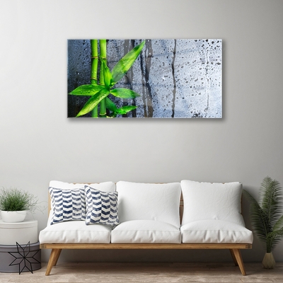 Obraz na skle Bambus List Rostlina Příroda