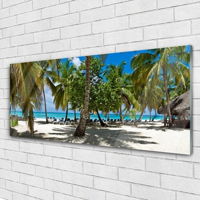 Obraz na skle Pláž Palma Stromy Krajina