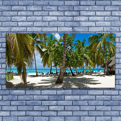 Obraz na skle Pláž Palma Stromy Krajina
