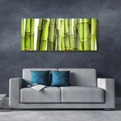 Obraz na skle Bambus Rostlina Příroda