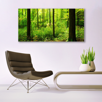 Obraz na skle Les Zeleň Stromy Příroda
