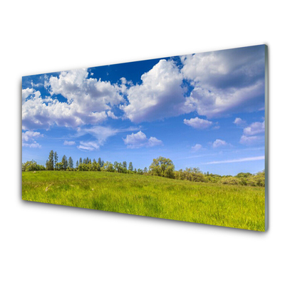 Obraz na skle Louka Tráva Nebe Krajina