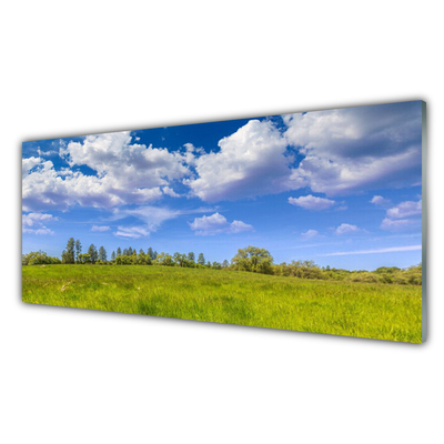 Obraz na skle Louka Tráva Nebe Krajina