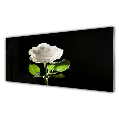 Obraz na skle Růže Květ Rostlina