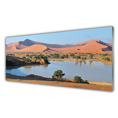 Obraz na skle Jezero Poušť Krajina