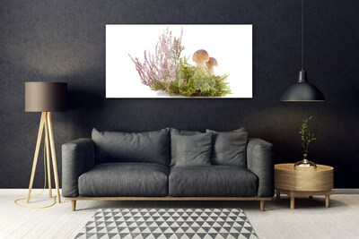 Obraz na skle Houby Rostlina Příroda