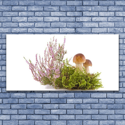 Obraz na skle Houby Rostlina Příroda