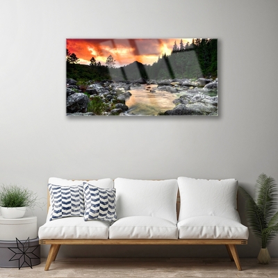 Obraz na skle Jezero Kameny Les Příroda