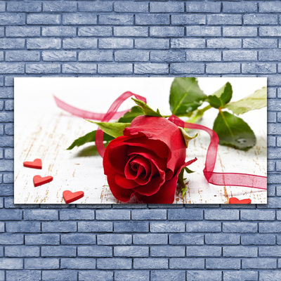Obraz na skle Růže Květ Rostlina