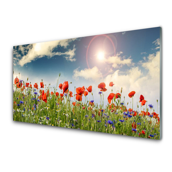 Obraz na skle Louka Květiny Slunce Příroda