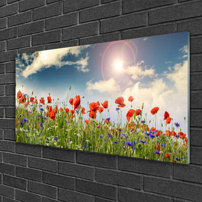 Obraz na skle Louka Květiny Slunce Příroda
