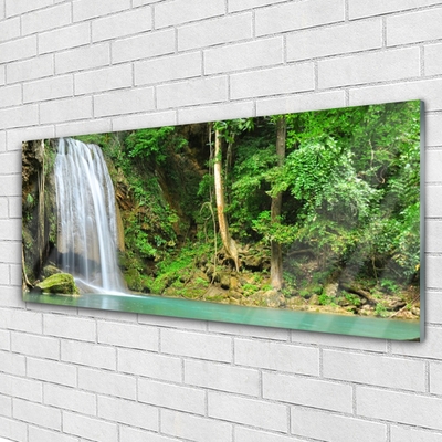 Obraz na skle Vodopád Les Příroda
