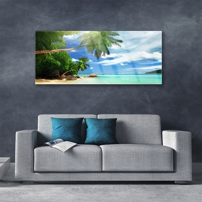 Obraz na skle Palma Pláž Moře Krajina
