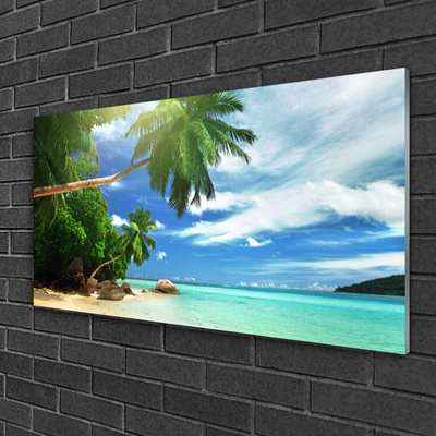 Obraz na skle Palma Pláž Moře Krajina