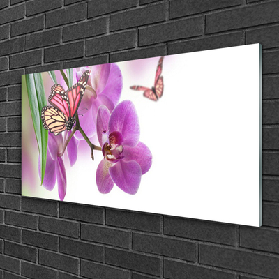 Obraz na skle Motýli Květiny Příroda