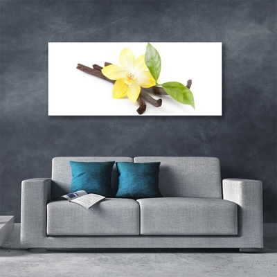 Obraz na skle Vanilka Listy Rostlina