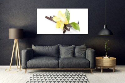 Obraz na skle Vanilka Listy Rostlina