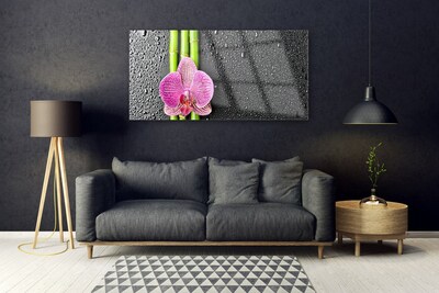 Obraz na skle Bambus Květ Rostlina Příroda